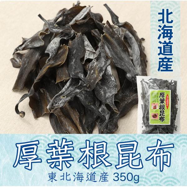 あつば根昆布　昆布　こんぶ　根昆布