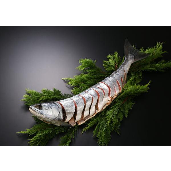 新巻鮭姿切り 2kg 鮭 送料無料 数量限定 : マキノ海産 - 通販