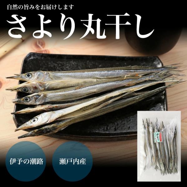 さより丸干し　上乾燥　さより　送料無料　季節限定
