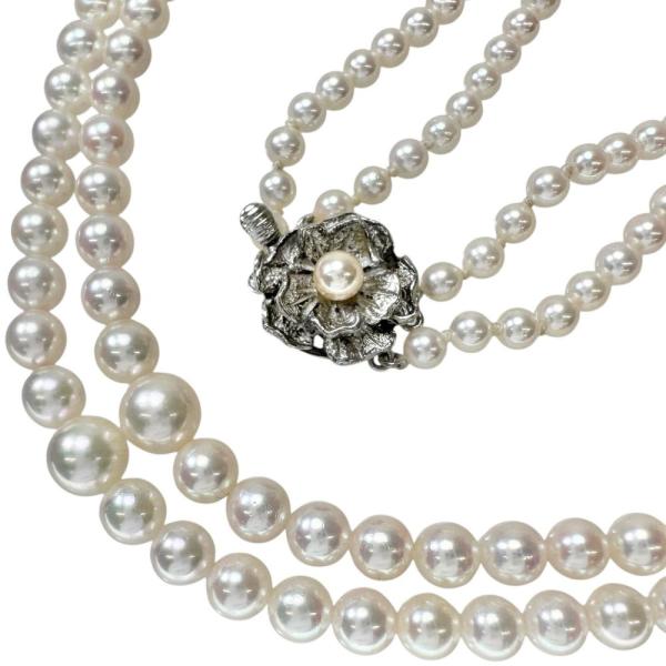 あこや真珠　パール　1630g あこや真珠 パール 1630g 【公式通販】