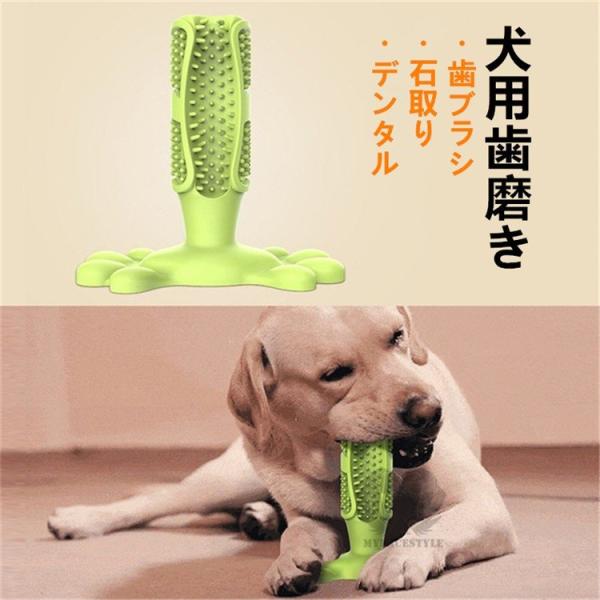 犬用歯磨きブラシ 犬デンタル おもちゃ 歯磨き 歯みがき 歯ブラシおもちゃ 無地 消臭 清掃グッズ 歯磨きシート 石取り Makonoi Sh まのこい商店 通販 Yahoo ショッピング