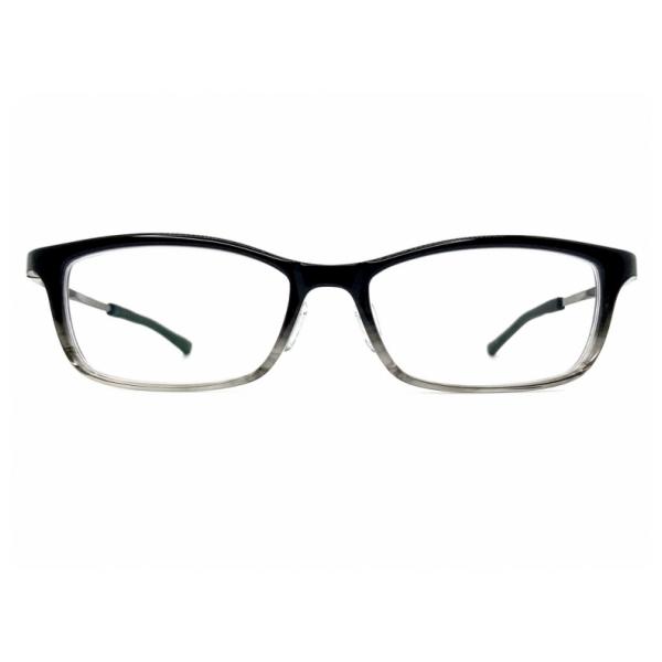 ジャポニスム JN-679 col.02 TITANIUM 訳あり品。大変お得な商品 (W