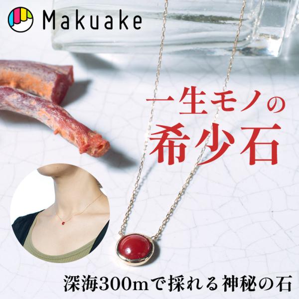 makuake-store_mka48430