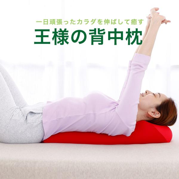 ゴロンっと寝転がるだけで未体験の解放感！自然と胸が開く姿勢になり、肩や肩甲骨周りをスッキリさせてくれます。柔軟性・流動性に優れた超極小ビーズ素材を使用しているので、背中を優しく包み込んで、ゆったり癒してくれます。不思議なむにゅむにゅ感触のヒ...