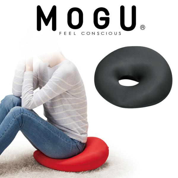 MOGU O r[YNbV ~NbV w w  Y  K̔Y    ݑΖ MOGU z[NbV ubN