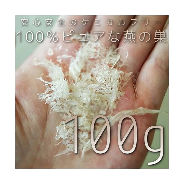 malayabirdnest_kakera-2024