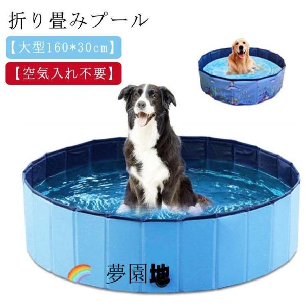 折りたたみ プール 空気入れ不要 160 x 30cm ペットプール 子供プール 犬用プール ペット用 犬プール 大型 家庭用 ビニールプール 折りた