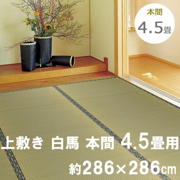  ~ n ͂ { 4.5p 286×286cm hJrH H