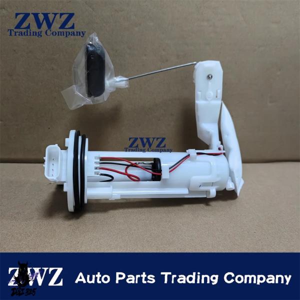 mamachu_dandi-00205516