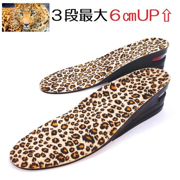 V[NbgC\[ qE 3i 6cm g Abv GA グ  ~ C\[ ~ Y fB[X Ռz L r Ip[h 