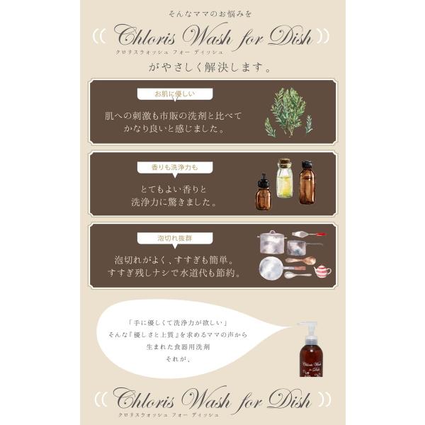 �� �� �� �₳���� �H��p��� �u�N�����X�E�H�b�V���t�H�[�f�B�b�V�� 250ml Chloris Wash for Dish�v ��r�� ���i�摜2