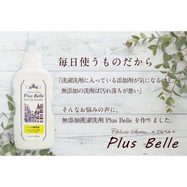 ������ ���Y�� ������ �ɂ�������� ���X �R���p�N�g��� �u Plus Belle �v�v���x��500g  �ߗޗp ���i�摜1