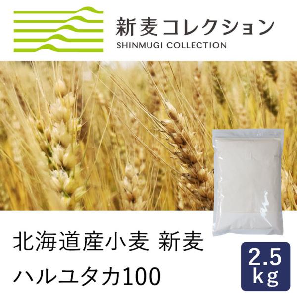 強力粉 新麦コレクション ハルユタカ100 江別製粉 2.5kg 季節限定 北海道産小麦粉