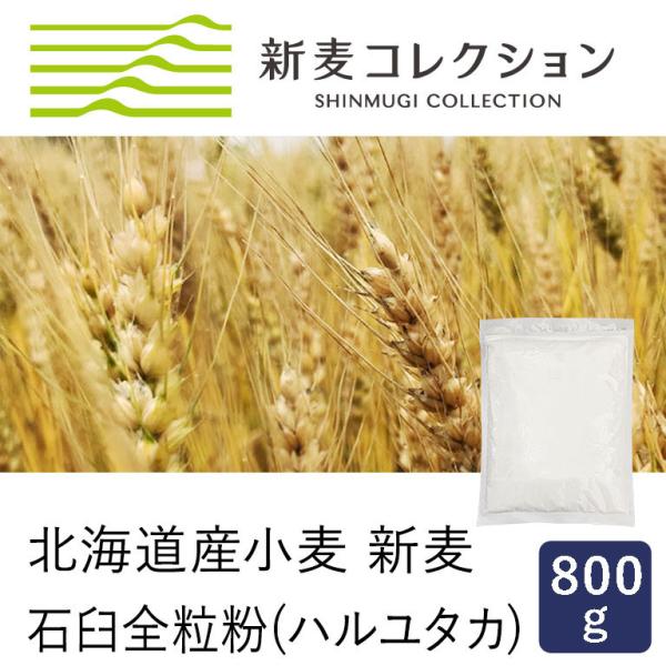 全粒粉 新麦コレクション 石臼全粒粉（ハルユタカ） 江別製粉  800g 季節限定 北海道産小麦粉 国産小麦