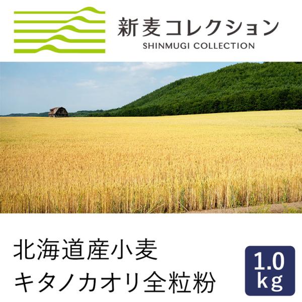 【2025年度収穫の新麦】基準値：粗蛋白　14.4％　灰分　1.64％