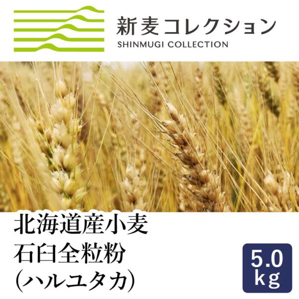 江別製粉 新麦コレクション 新麦 石臼全粒粉(ハルユタカ) 5kg 2026年10月20日以降着 全粒粉 北海道産小麦粉 国産小麦 季節限定