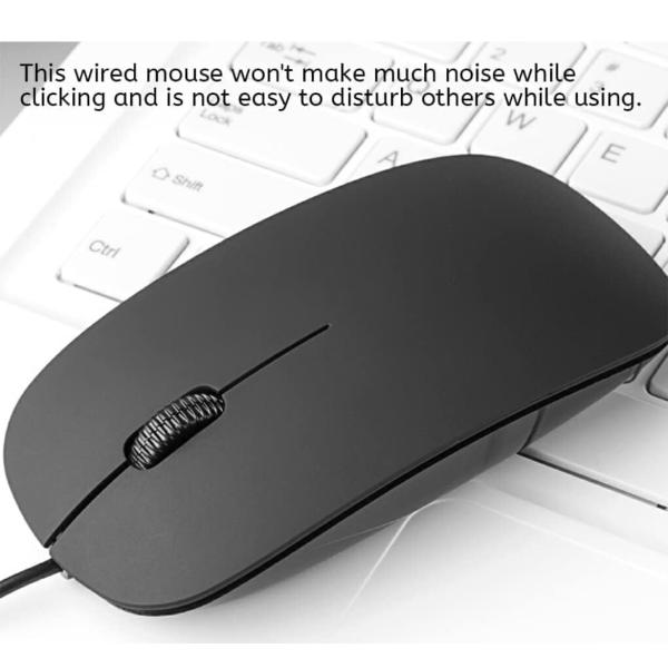 mamasani_251018_12_d_20251019175915