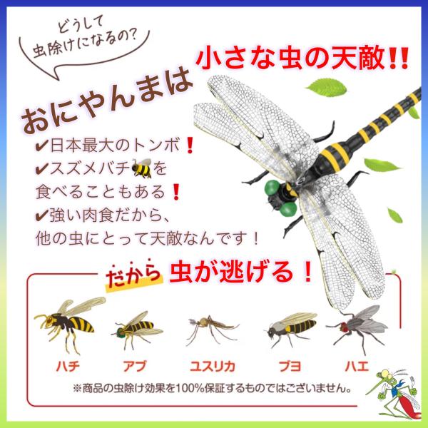 6�^12cm�I�j�����}������ ���ʂ��ɂ��܃��A���g���{���悯���΍� ���S�s��&�X�g���b�v�t���ނ�R�o��L���b�v���O�S���t���� �X�Y���o�` ���i�摜2