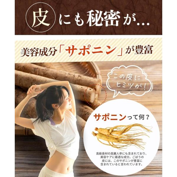 ごぼう茶 国産 ゴボウ茶 ティーバッグ 2g 30包 健康茶 母乳 ママセレクト 青森 北海道 食物繊維 イヌリン Buyee Buyee Japanese Proxy Service Buy From Japan Bot Online