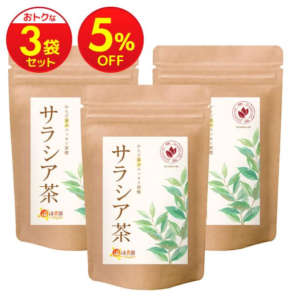 サラシア茶 【まとめ割3袋セット】国内製造 ティーバッグ (3g×40包) ダイエット デトックス ノンカフェイン お茶 ハーブティー