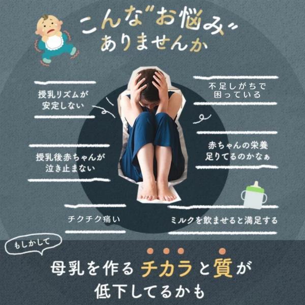 たんぽぽ茶 妊活 母乳育児 ノンカフェイン タンポポ茶 妊婦 2g 30包 母乳サポート 妊娠 産後 お茶 ティーバッグ マタニティ 授乳 ママ Buyee Buyee 提供一站式最全面最專業現地yahoo Japan拍賣代bid代拍代購服務 Bot Online