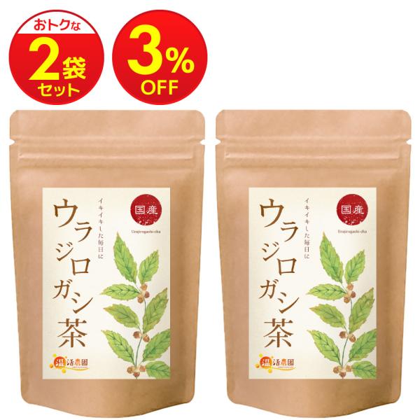 ▼商品説明国産自生ウラジロガシ100%使用。こだわりの独自製法により香ばしく爽やかな風味が広がるお茶に仕上げました。ノンカフェインだから妊婦さんでも安心してお飲み頂けます。自生のウラジロガシを使用しているため、栽培期間中農薬は使用しておりま...