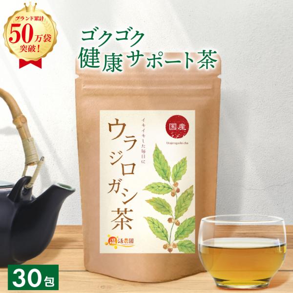 ▼商品説明国産自生ウラジロガシ100%使用。こだわりの独自製法により香ばしく爽やかな風味が広がるお茶に仕上げました。ノンカフェインだから妊婦さんでも安心してお飲み頂けます。自生のウラジロガシを使用しているため、栽培期間中農薬は使用しておりま...