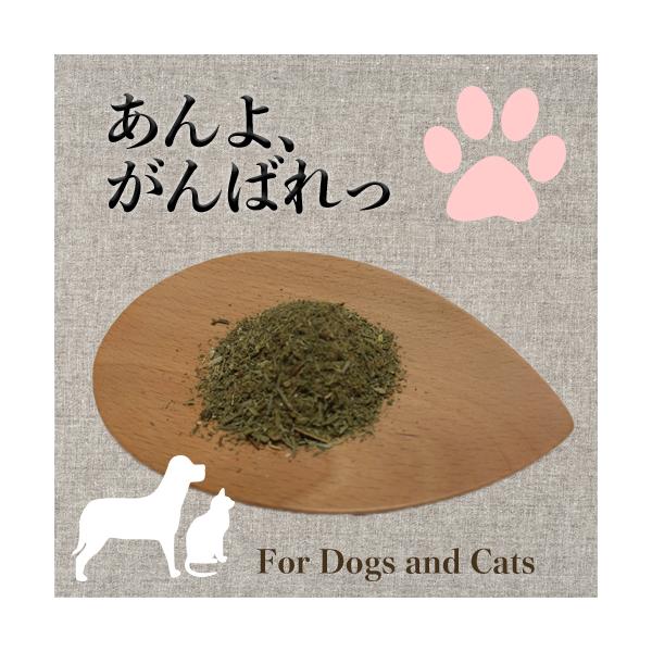 【原材料】ホーステール（オレゴンティルス認証オーガニック　ブルガリア）アルファルファ（オレゴンティルス認証オーガニック　アメリカ）セントジョンズワート（オレゴンティルス認証オーガニック　チリ）ウコン（特別栽培　沖縄)【内容量】12ｇ 【賞味...