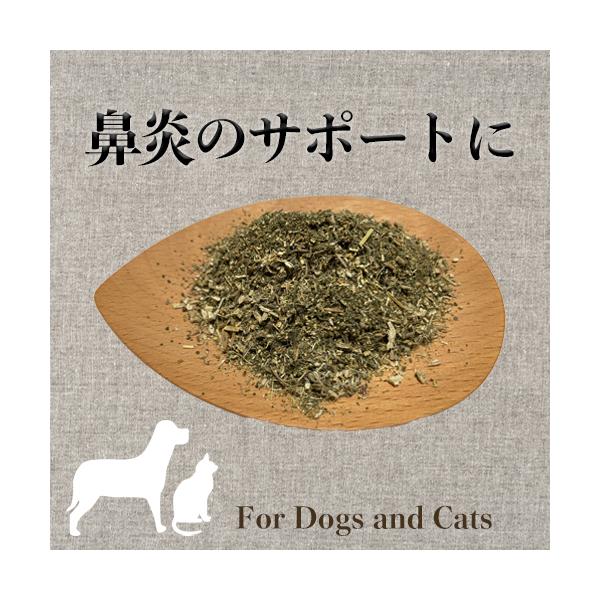 【原材料】エキナセア （オレゴンティルス認証オーガニック アメリカ）ネトル（オレゴンティルス認証オーガニック アメリカ）アイブライト （アオレゴンティルス認証オーガニック ブルガリア）エルダーフラワー（オレゴンティルス認証オーガニック アメ...