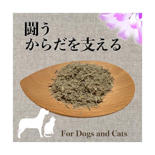 【原材料】レッドクローバー ・ダンデライオンリーフ（オレゴンティルス認証オーガニック アメリカ）アストラガルス（認定コーシャー 中国）ガーリック（オレゴンティルス認証オーガニック エジプト）【内容量】15ｇ 【賞味期限】発送後2か月。期限が...