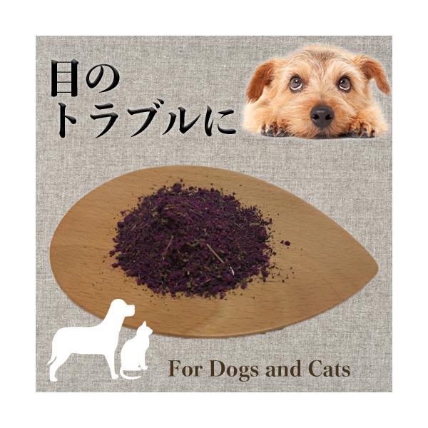 犬 猫 サプリメント 涙やけ おひげやけケア オーガニックハーブ ふりかけ EYEに愛 8個までメール便OK :eye:手作り元気ごはんのパリフィ舎 - 通販 - Yahoo!ショッピング 犬 猫 サプリメント 涙やけ おひげやけケア オーガニックハーブ ふりかけ EYEに愛 8個までメール便OK :eye:手作り元気ごはんのパリフィ舎 - 通販 - Yahoo!ショッピング