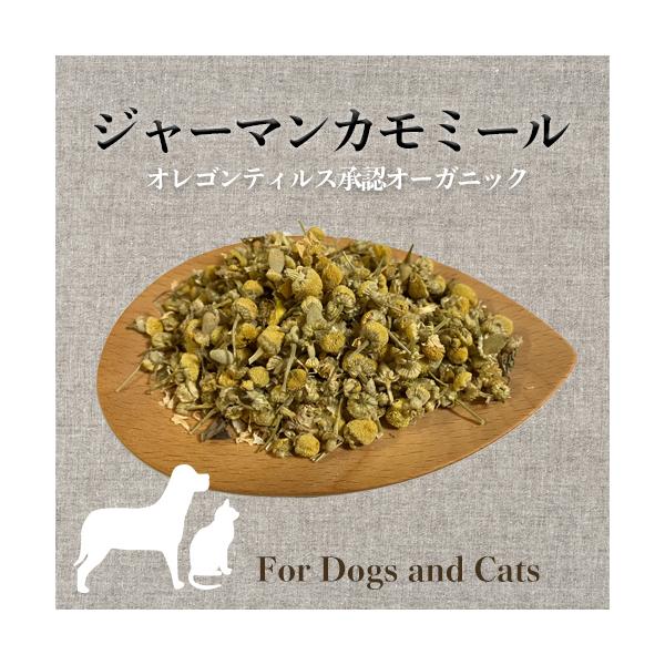 【原材料】ジャーマンマモミールフラワー（オレゴンティルス認証オーガニック　アメリカ)【内容量】5ｇ【賞味期限】発送後2か月。【特徴とご使用の目安】・精神的に動揺した後、お腹の調子が悪くなるお子のケア　小さじ1程度の花を、150ccのお湯に入...