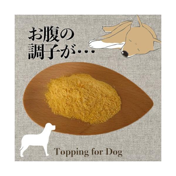 【原材料】にんじん（特別栽培　北海道）かぼちゃ（オーガニック　ニュージーランド）山芋（特別栽培　加賀）【内容量】24ｇ【賞味期限】発送後3か月。期限が過ぎても、少しずつごはんに混ぜて消費していただいて大丈夫です。 【特徴とご使用の目安】犬用...