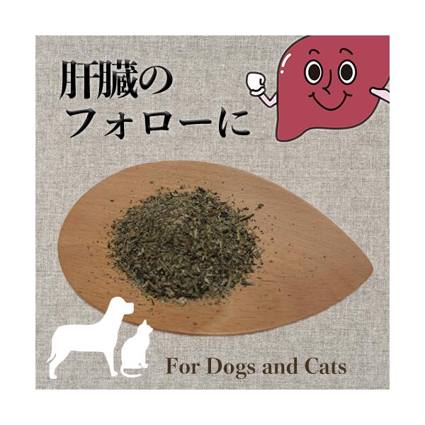 【原材料】バードック（農薬と化学肥料不使用　熊本）ダンデライオンリーフ （オレゴンティルス認証オーガニック　アメリカ）ミルクシスル（オレゴンティルス認証オーガニック　ドイツ）黒すりごま（特別栽培　三重）【内容量】15ｇ【賞味期限】発送後2か...