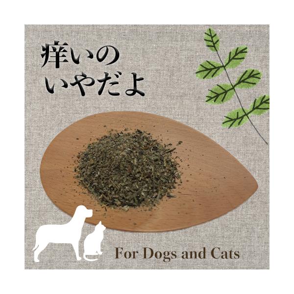 【原材料】バードック（農薬と化学肥料不使用　熊本）ゴツコーラ（オレゴンティルス認証オーガニック　インド）ネトル（オレゴンティルス認証オーガニック　ブルガリア）エキナセア（オレゴンティルス認証オーガニック　ドイツ）ミルクシスル（オレゴンティル...