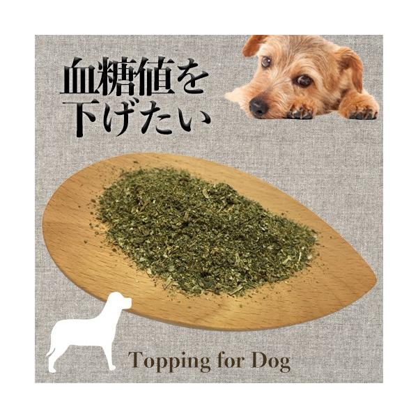 【原材料】・アルファルファ（オレゴンティルス認証オーガニック　アメリカ）・カモマイル （オレゴンティルス認証オーガニック　エジプト）・ダンデライオンリーフ （オレゴンティルス認証オーガニック　アメリカ）・バードック（農薬と化学肥料不使用　宮...