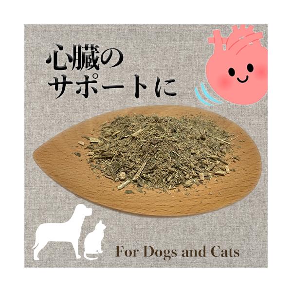 【原材料】ホーソン・ ヤロー・イチョウ・ダンデライオンリーフ（オレゴンティルス認証オーガニック アメリカ）ガーリック（オレゴンティルス認証オーガニック エジプト）【内容量】15ｇ 【賞味期限】発送後2か月。期限が過ぎても、少しずつごはんに混...