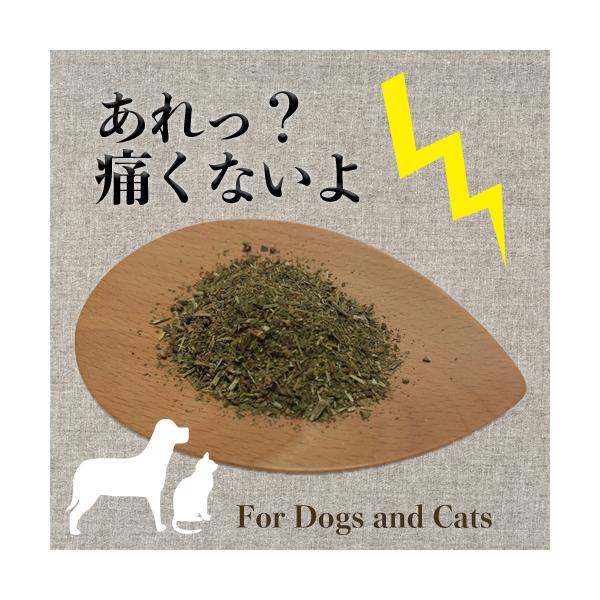 【原材料】フューバーフュー（オレゴンティルス認証オーガニック　フランス)バレリアン・スカルキャップ（オレゴンティルス認証オーガニック　アメリカ）セントジョンズワート（オレゴンティルス認証オーガニック　チリ）【内容量】15ｇ 【賞味期限】発送...