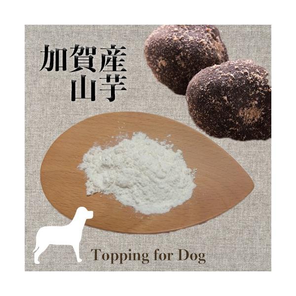 【原材料】加賀丸芋（日本)【内容量】12ｇ 【賞味期限】発送後3か月。期限が過ぎても、少しずつごはんに混ぜて消費していただいて大丈夫です。 【特徴とご使用の目安】粘膜や免疫力を応援したい時や、シニア犬の目、お疲れの日にも。手作りごはんに一つ...