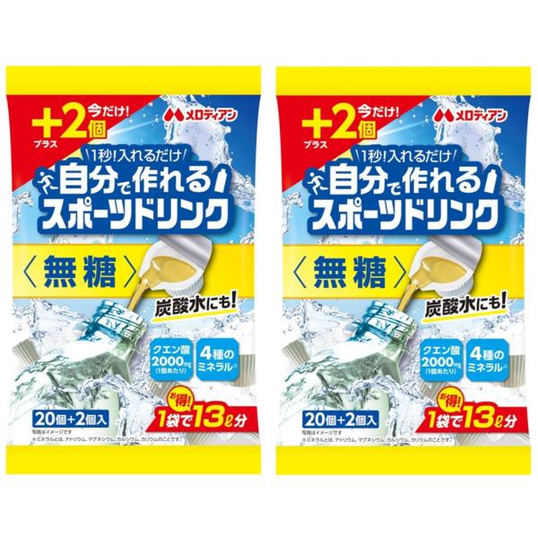 メロディアン 飲料 自分で作れる スポーツドリンク 無糖 20個+2個増量 × 2袋