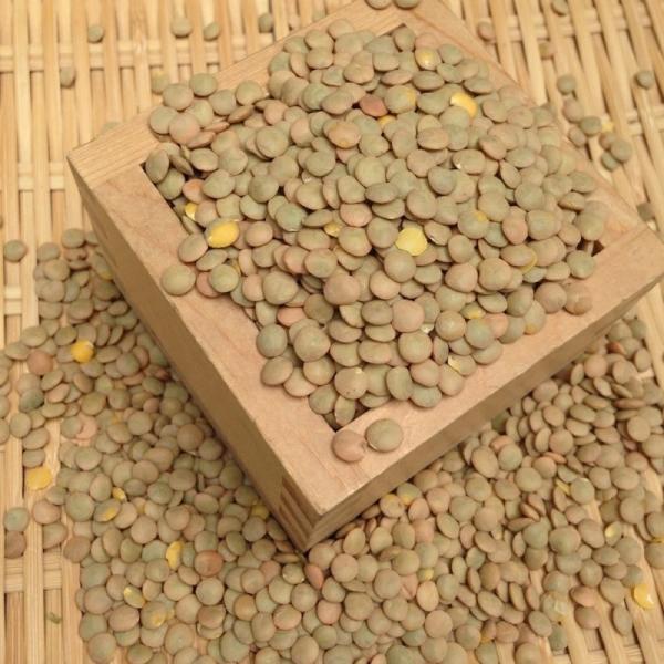 【ゆうパケット 送料無料】900g ブラウンレンズ豆 (皮付き)  レンズ豆 茶レンズ アメリカ産