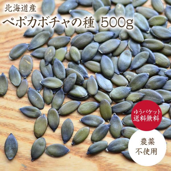 【ゆうパケット送料無料】ペポカボチャの種（生）【500g】北海道十勝産 希少な国産かぼちゃの種 栽培期間中農薬不使用 ※軽く煎ってからお使いください 無添加