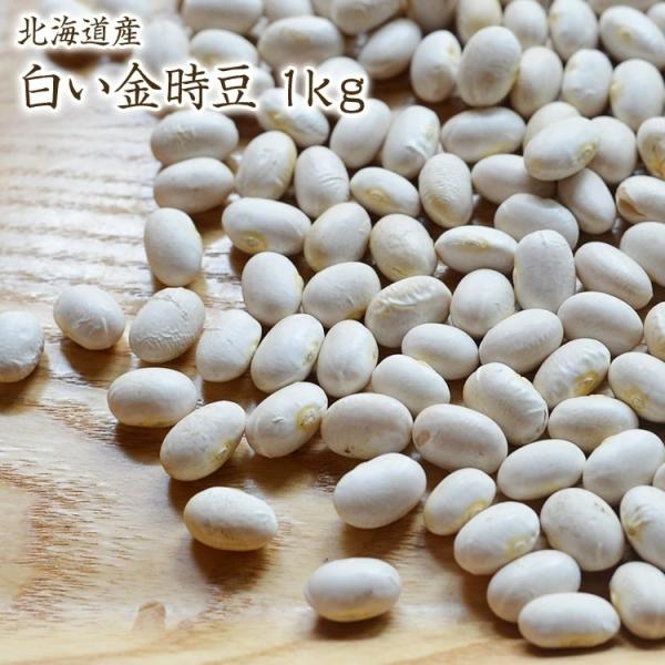 【宅配便】白い金時 「1kg」 北海道産 福白金時 令和6年産 白金時豆 白いんげんの中で一番美味しい豆
