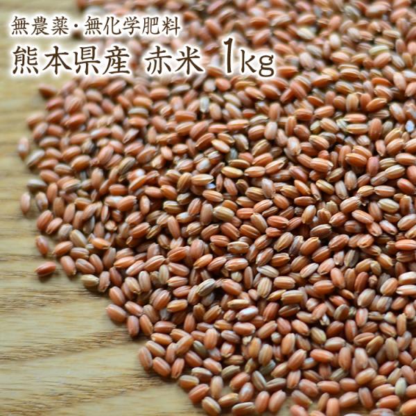 【宅急便】赤米【1Kg】自然栽培 古代米 夕やけもち 熊本県産 令和7年産 農薬化学肥料不使用