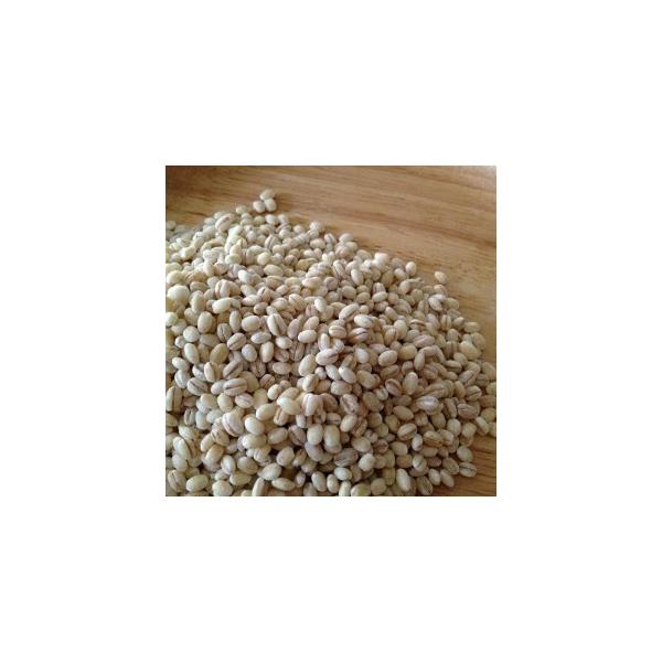【宅配便】白丸麦 1kg 岩手県産 国産大麦 barley 丸麦