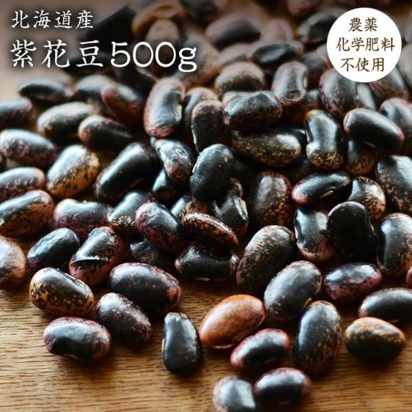 【宅配便】無農薬 紫花豆 500g 北海道産 令和7年産 農薬化学肥料不使用 花豆 いんげん豆