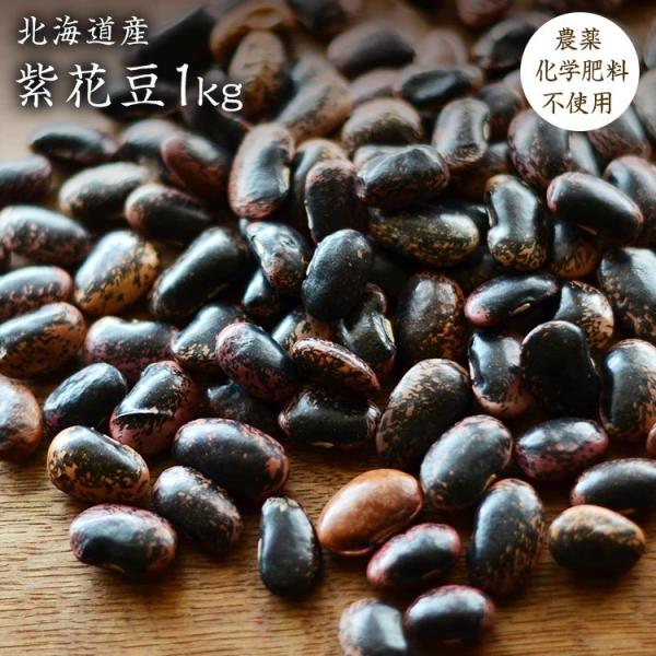【宅配便】無農薬 紫花豆 1kg 北海道産 令和7年産 農薬化学肥料不使用 花豆 いんげん豆