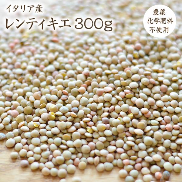 【宅急便】 300g 自然栽培 ブラウンレンズ豆 (皮付き) レンズ豆 茶レンズ イタリア産 レンティル