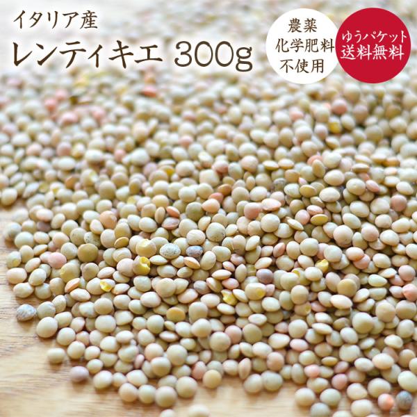 【ゆうパケット 送料無料】 300g 自然栽培 ブラウンレンズ豆 (皮付き) レンズ豆 茶レンズ イタリア産 レンティル