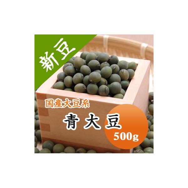 大豆 青大豆 山形県産 ひたし豆 令和７年産 500g